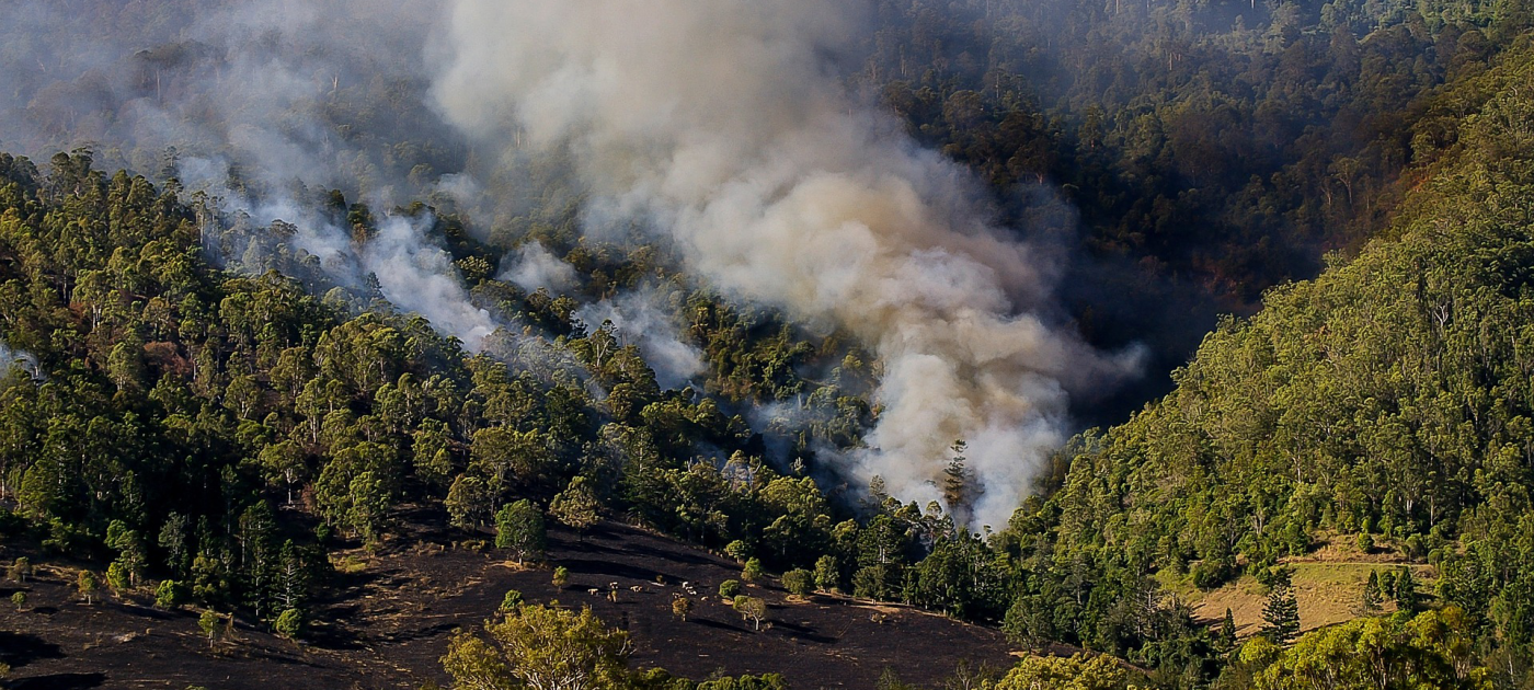 Один лесной пожар локализовали в Мирнинском районе Якутии