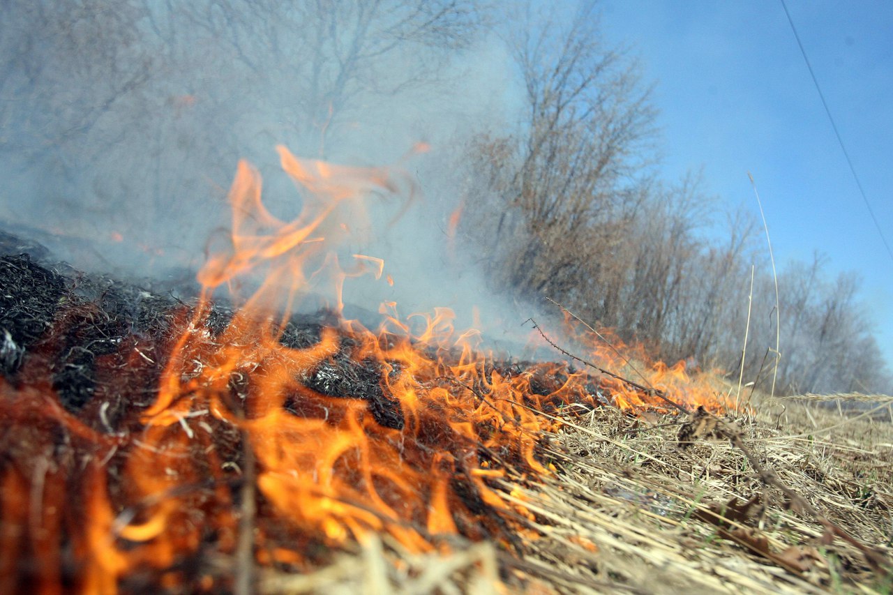 Допустившим лесные пожары районам Якутии ограничат финансирование