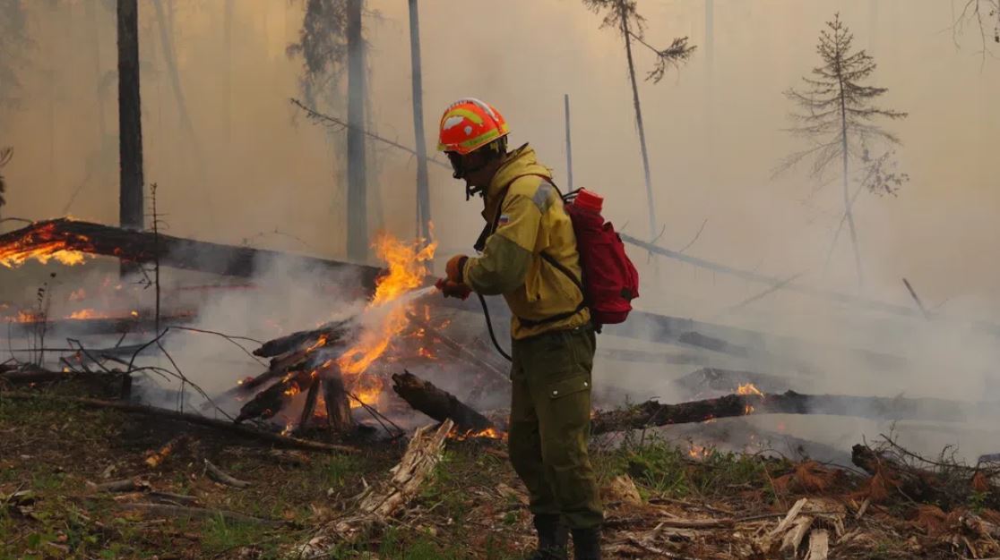 Четыре лесных пожара зарегистрировали в Якутии с начала пожароопасного сезона
