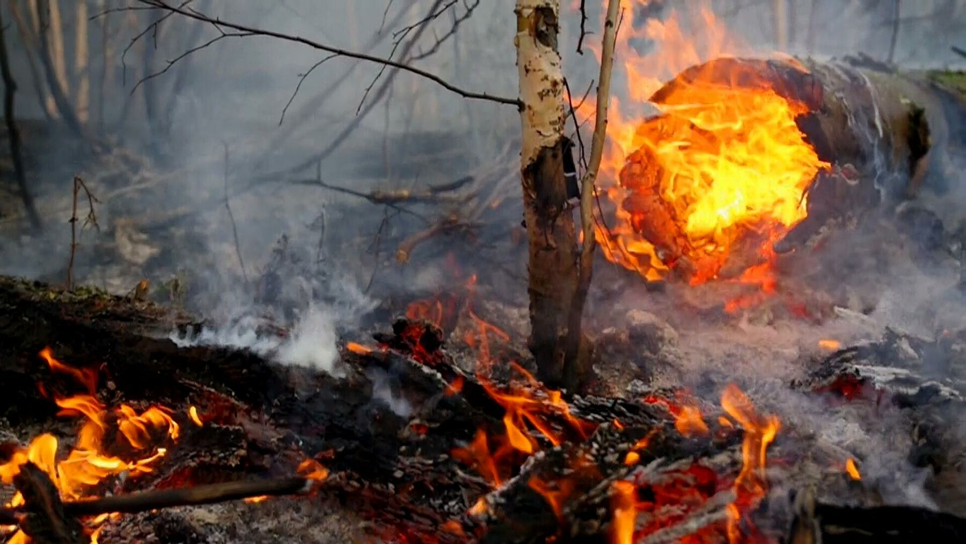 Лесной пожар площадью 35 га локализовали в Чурапчинском районе Якутии