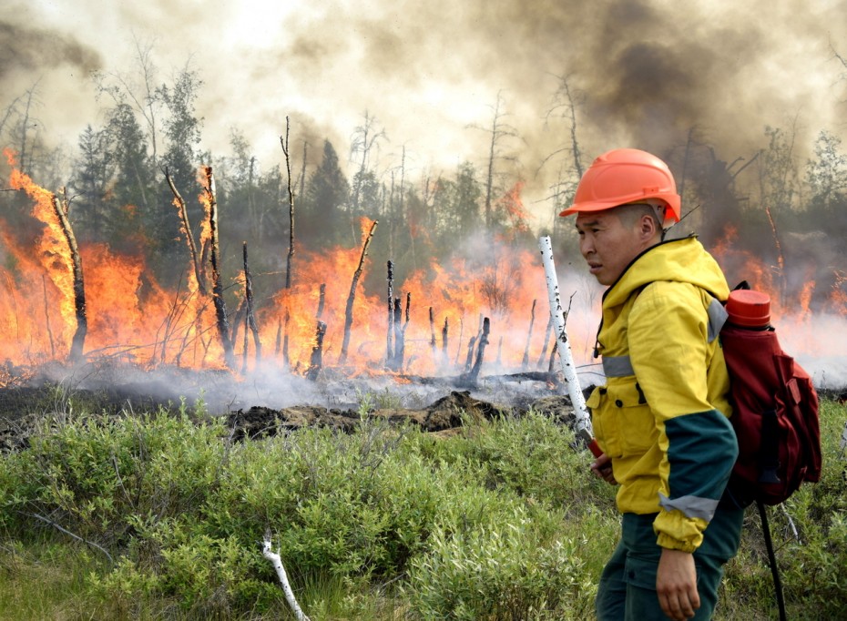 Один лесной пожар ликвидировали в Якутии за сутки