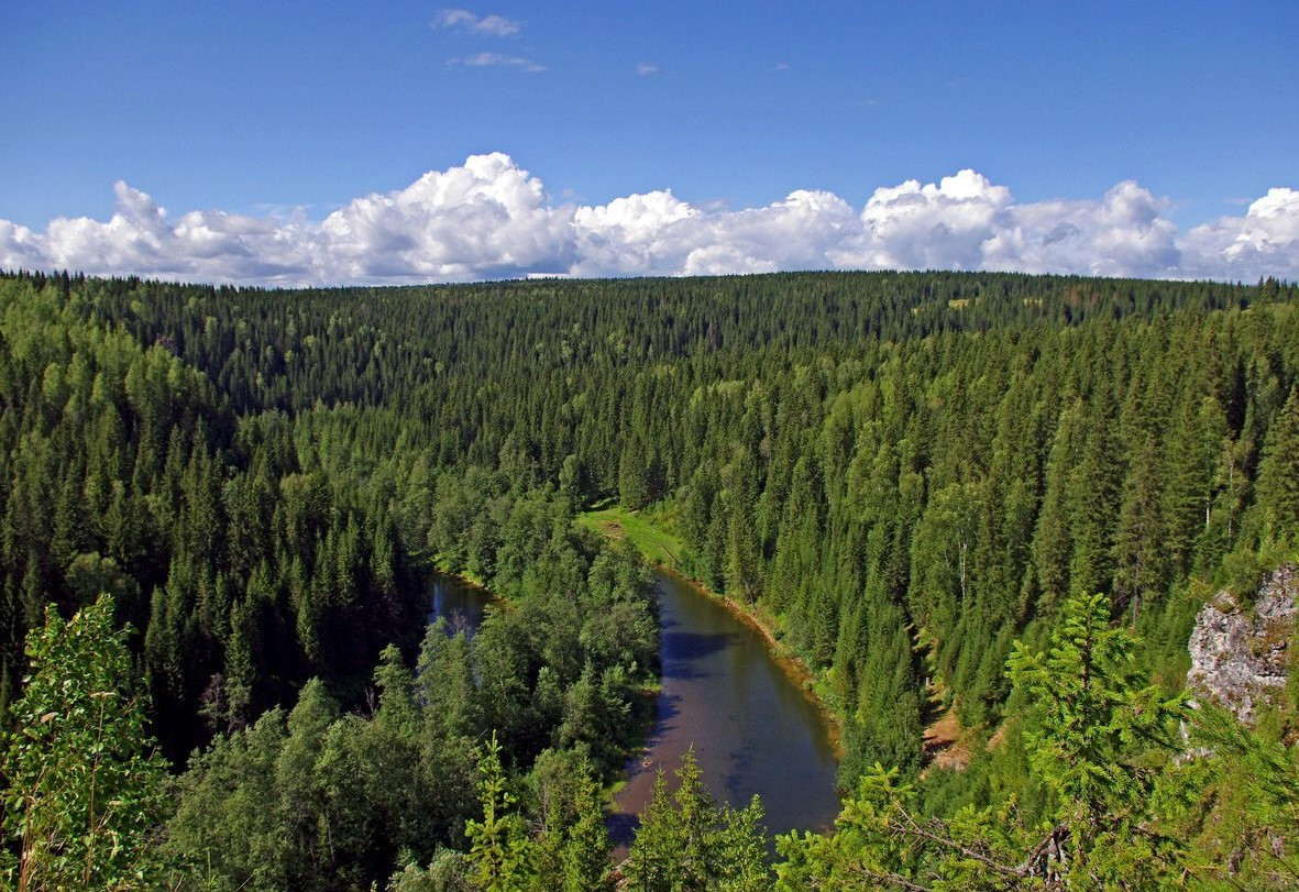 Два лесных пожара ликвидировали в Якутии за сутки