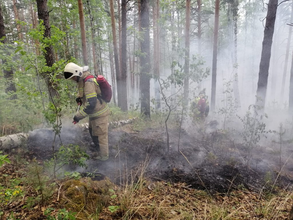 Девять лесных пожаров ликвидировали за сутки в Якутии