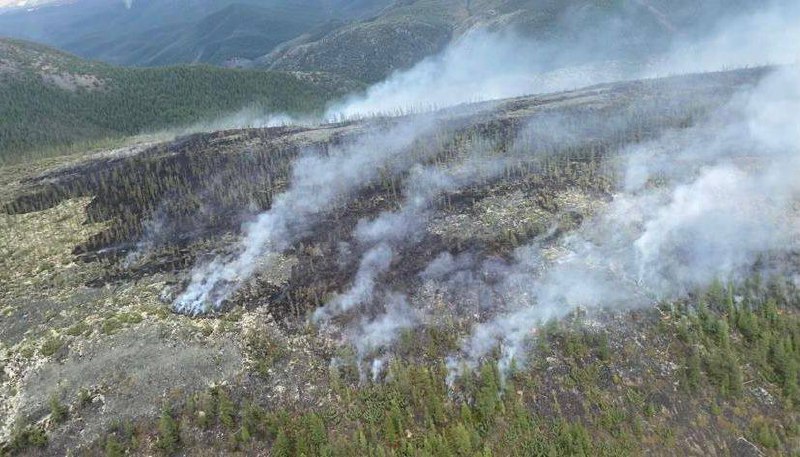 Площадь лесных пожаров в Якутии меньше в четыре раза, чем в 2021 году