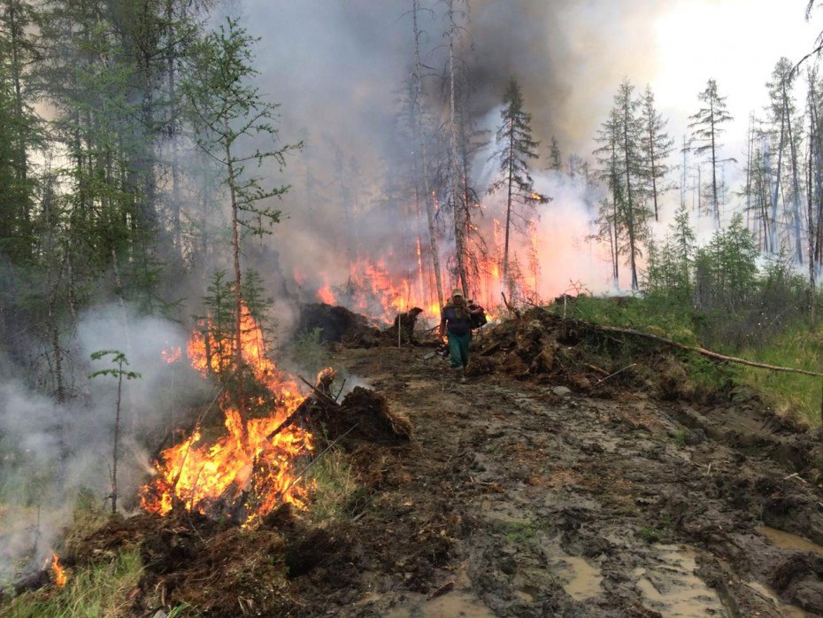 25 лесных пожаров действуют в Якутии