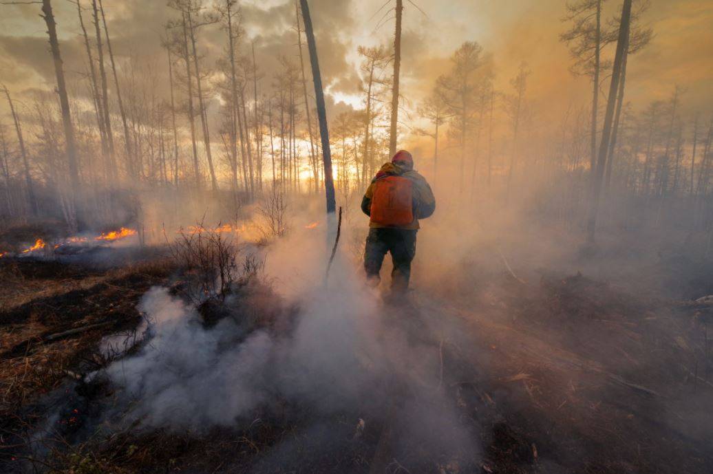 Четыре природных пожара ликвидировали в Якутии за сутки