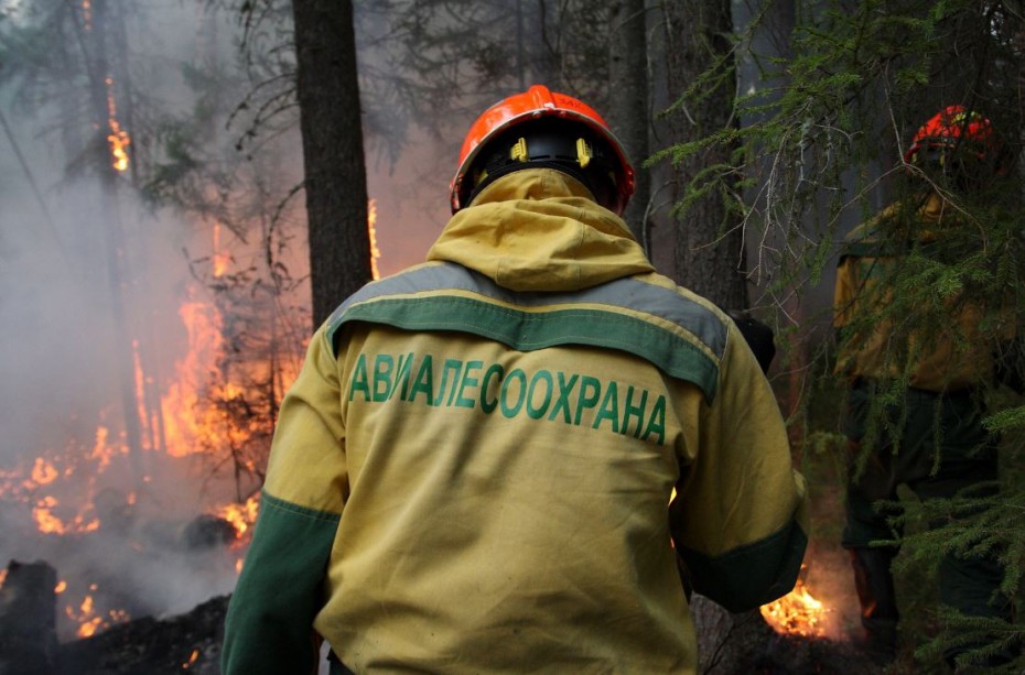 Восемь лесных пожаров ликвидировали в Якутии за сутки