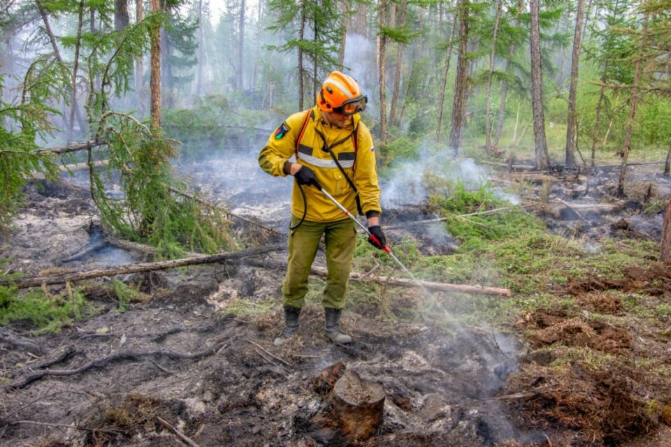 13 лесных пожаров потушили в Якутии за сутки