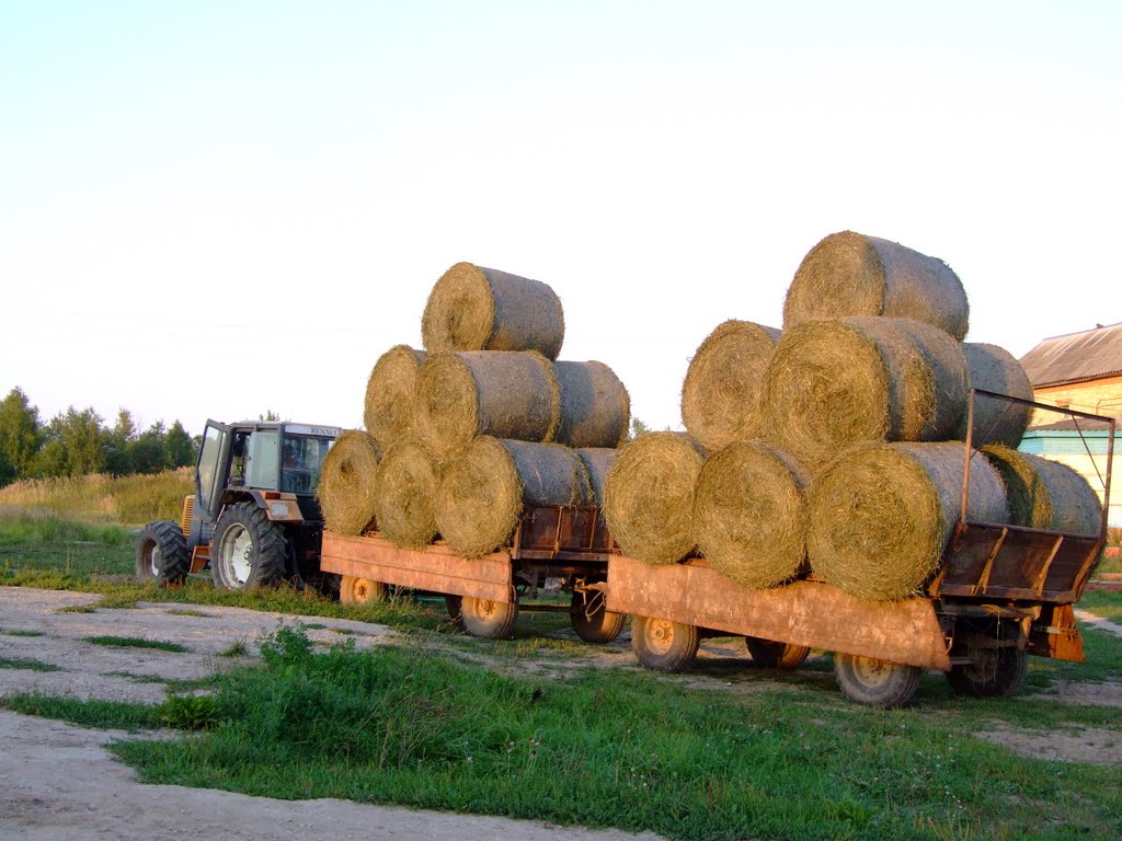Мобильным бригадам возместят затраты на перевозку сена в Верхоянском районе Якутии