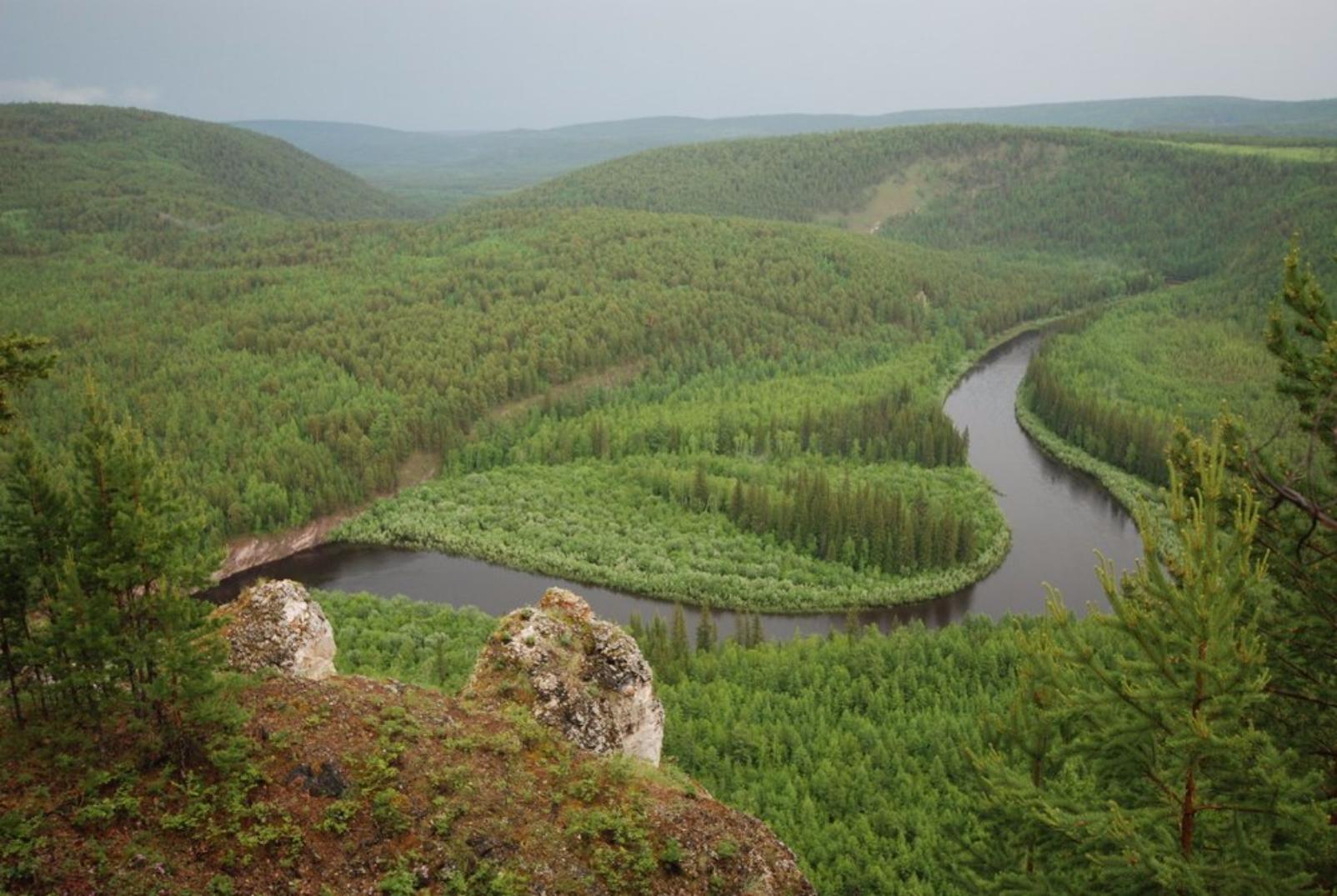 Ограничение ввели на пребывание граждан в лесах Якутии