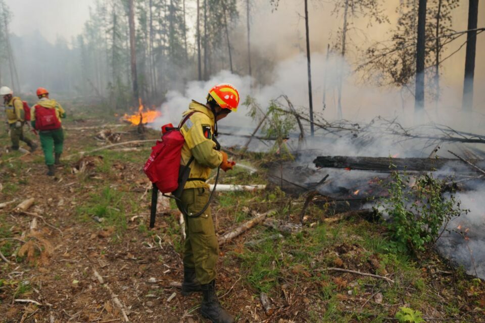 Восемь лесных пожаров потушили в Якутии за прошедшие сутки