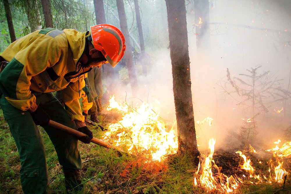 Семь лесных пожаров ликвидировали за сутки в Якутии