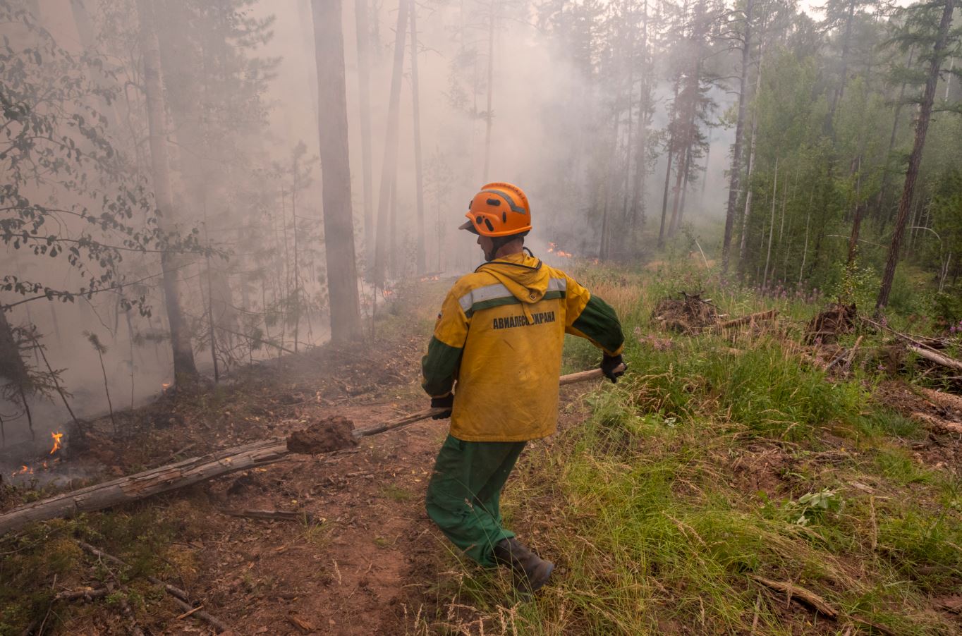 Айсен Николаев: Более 1,5 тысяч человек работают на тушении пожаров в Якутии