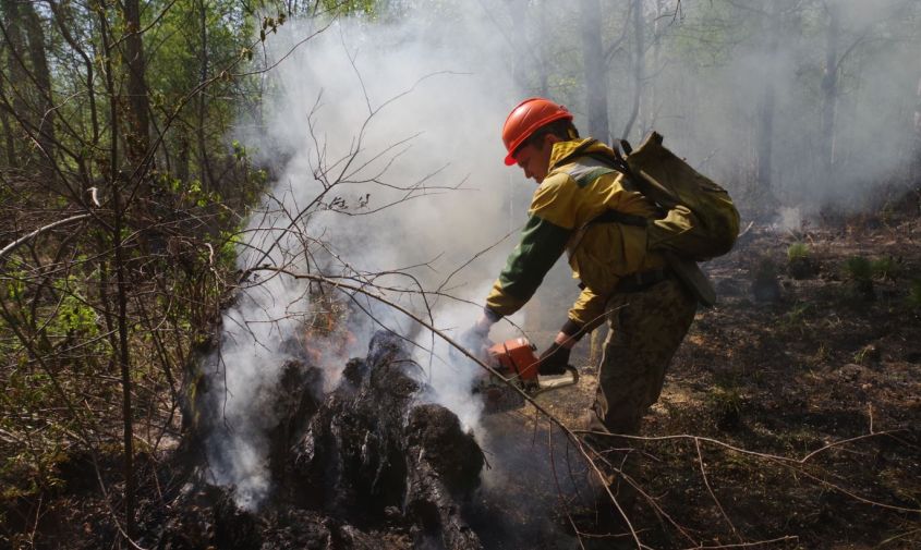 Лесные пожары на площади 14 950 га тушат в Якутии