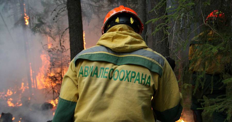 Восемь лесных пожаров потушили в Якутии за сутки