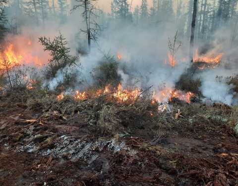 21 лесной пожар на площади свыше 31 тыс га потушили в Якутии за сутки