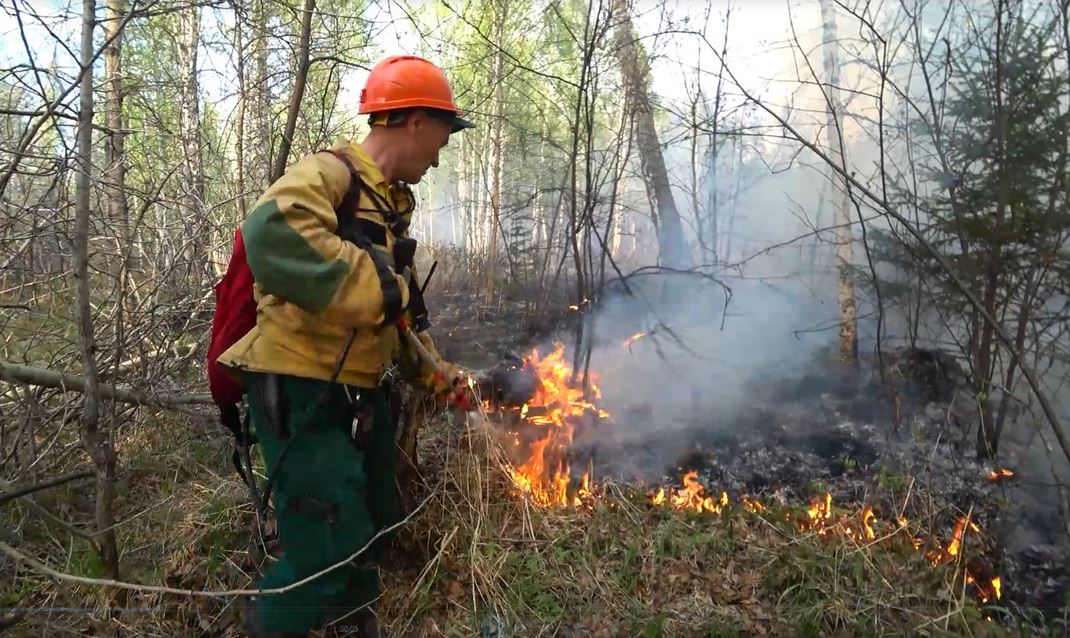 Десять лесных пожаров ликвидировали в Якутии за сутки