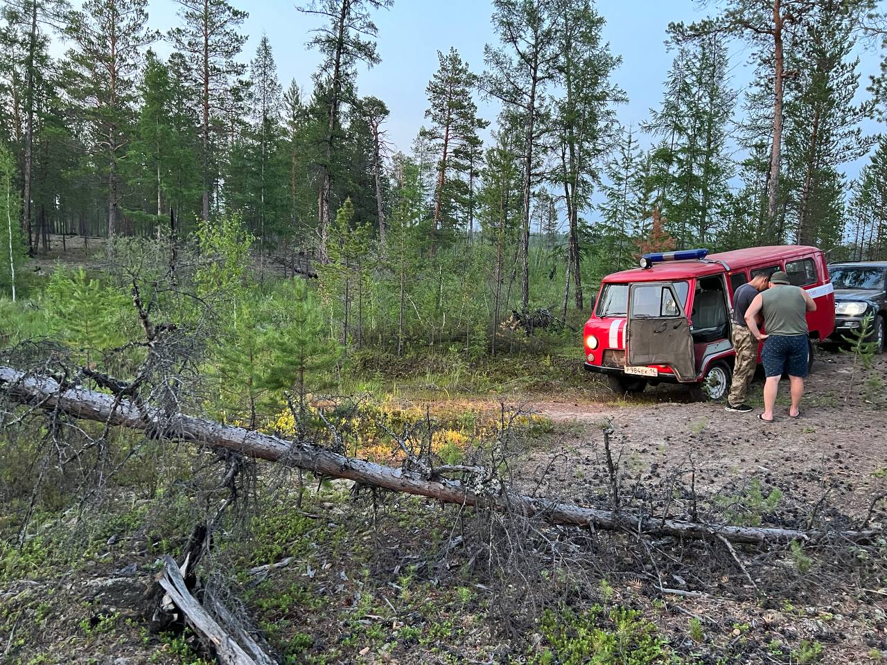 Один лесной пожар локализовали возле Якутска