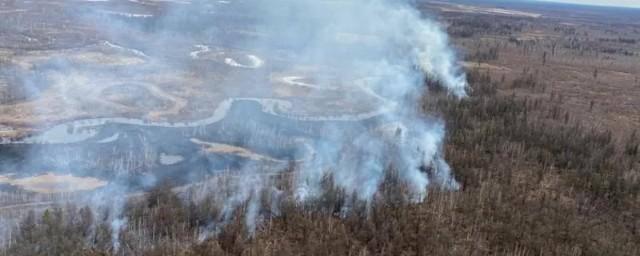 Дым от пожаров в соседних регионах может накрыть часть Якутии