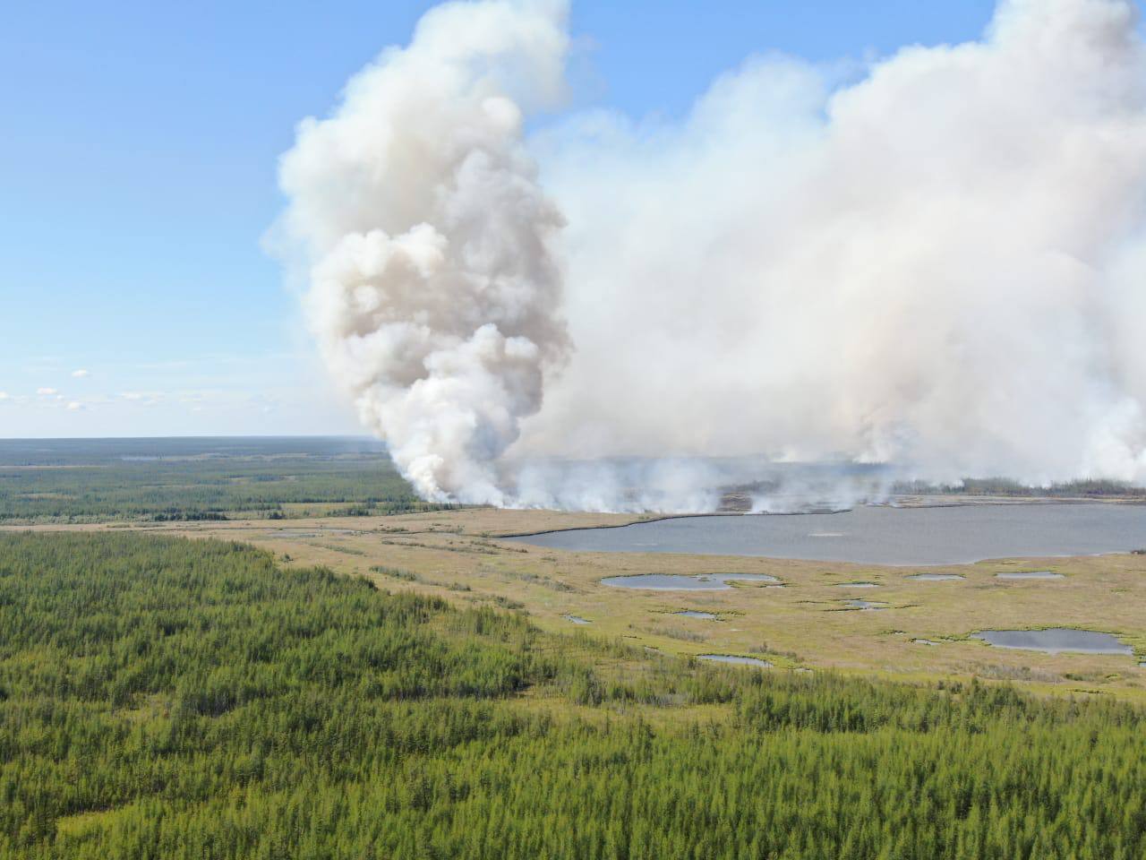 Работы по ликвидации лесного пожара проводят близ села Налимск в Среднеколымском районе