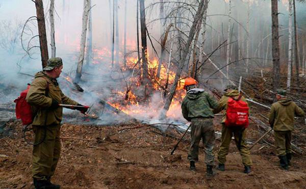 Лесные пожары на площади 25 813,5 га тушат в Якутии