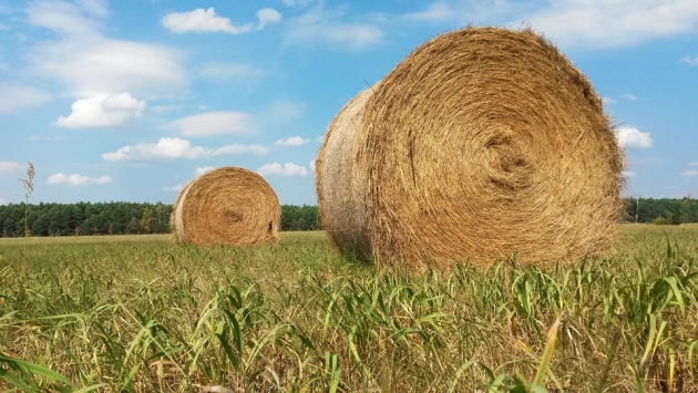 Более 1,9 тысяч тонн сена заготовили в Якутии