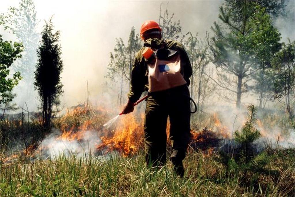 Шесть лесных пожаров площадью 38 367 га потушили в Якутии за сутки