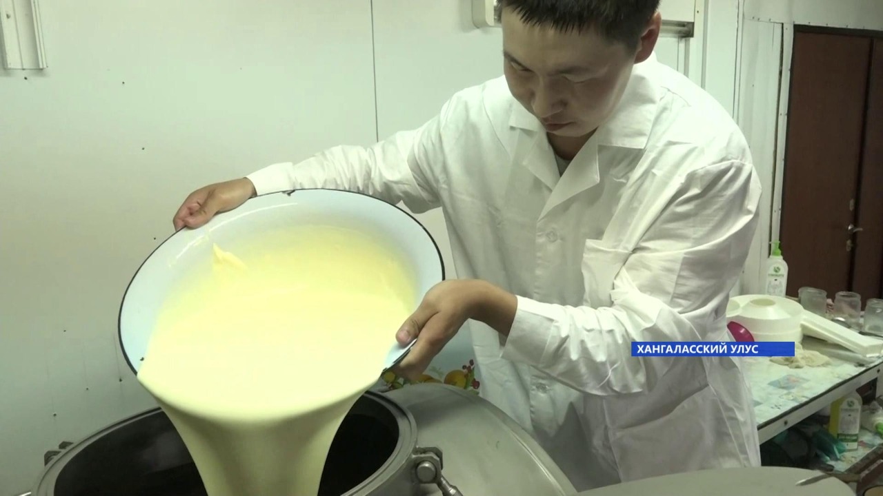 Сыр по итальянской технологии производят в Хангаласском районе Якутии