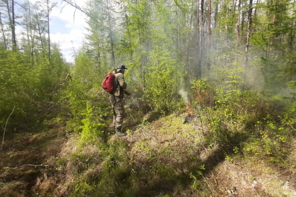Один лесной пожар действует в Якутии