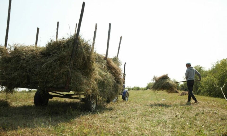 Аграрии Якутии выполнили план заготовки сена на 57%