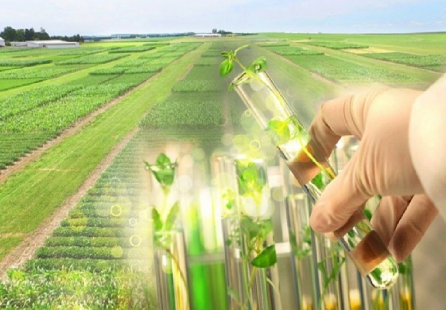 Власти Якутии намерены выделить до 30 млн рублей на научные разработки в сельском хозяйстве