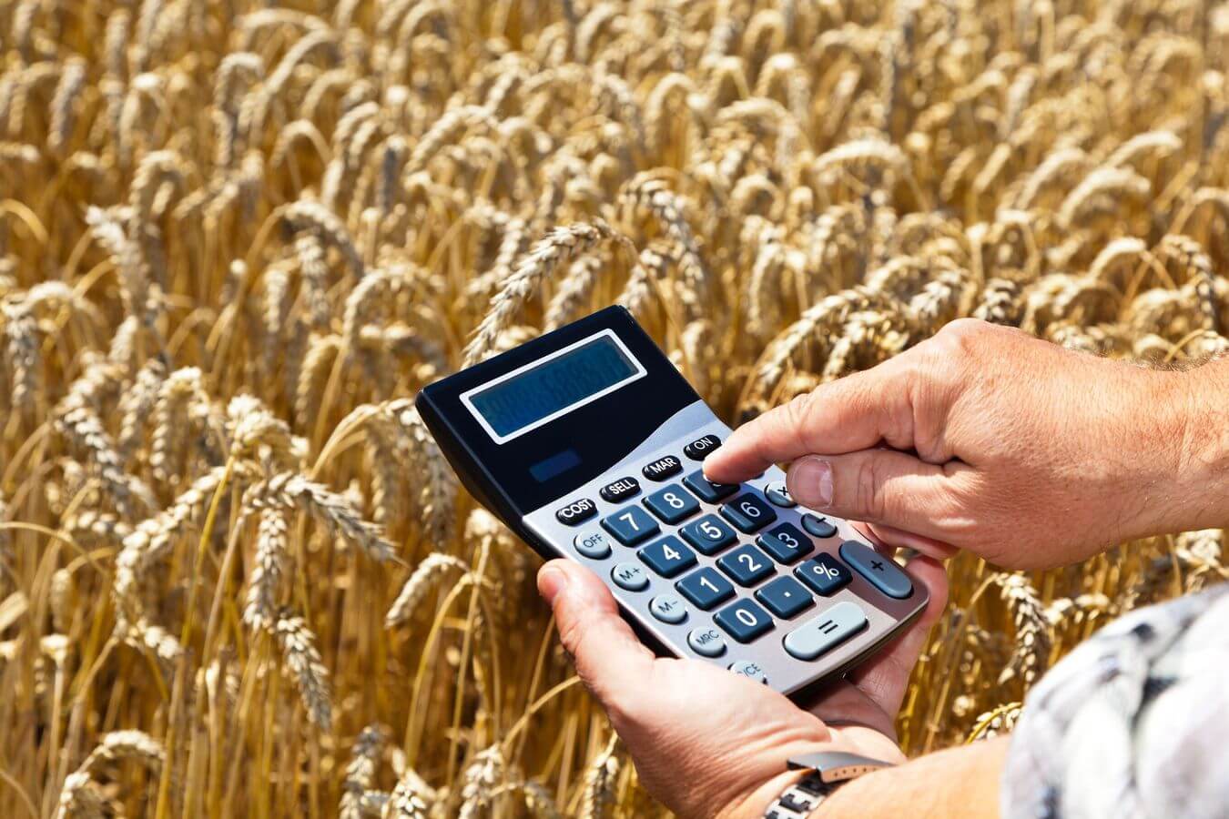 Cтавку по льготным кредитам снизили для сельхозпроизводителей в РФ