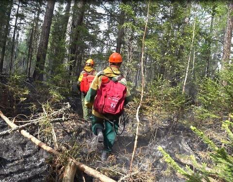 Лесные пожары на площади свыше 9,7 тысяч гектаров потушили в Якутии за сутки