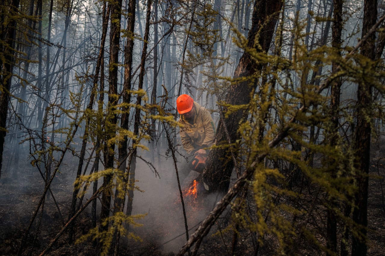 Большинство лесных пожарных в Якутии работают в Усть-Майском районе