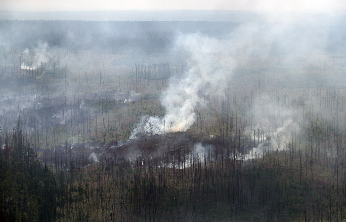 Крупный пожар, действовавший почти месяц, потушили в Усть-Майском районе Якутии