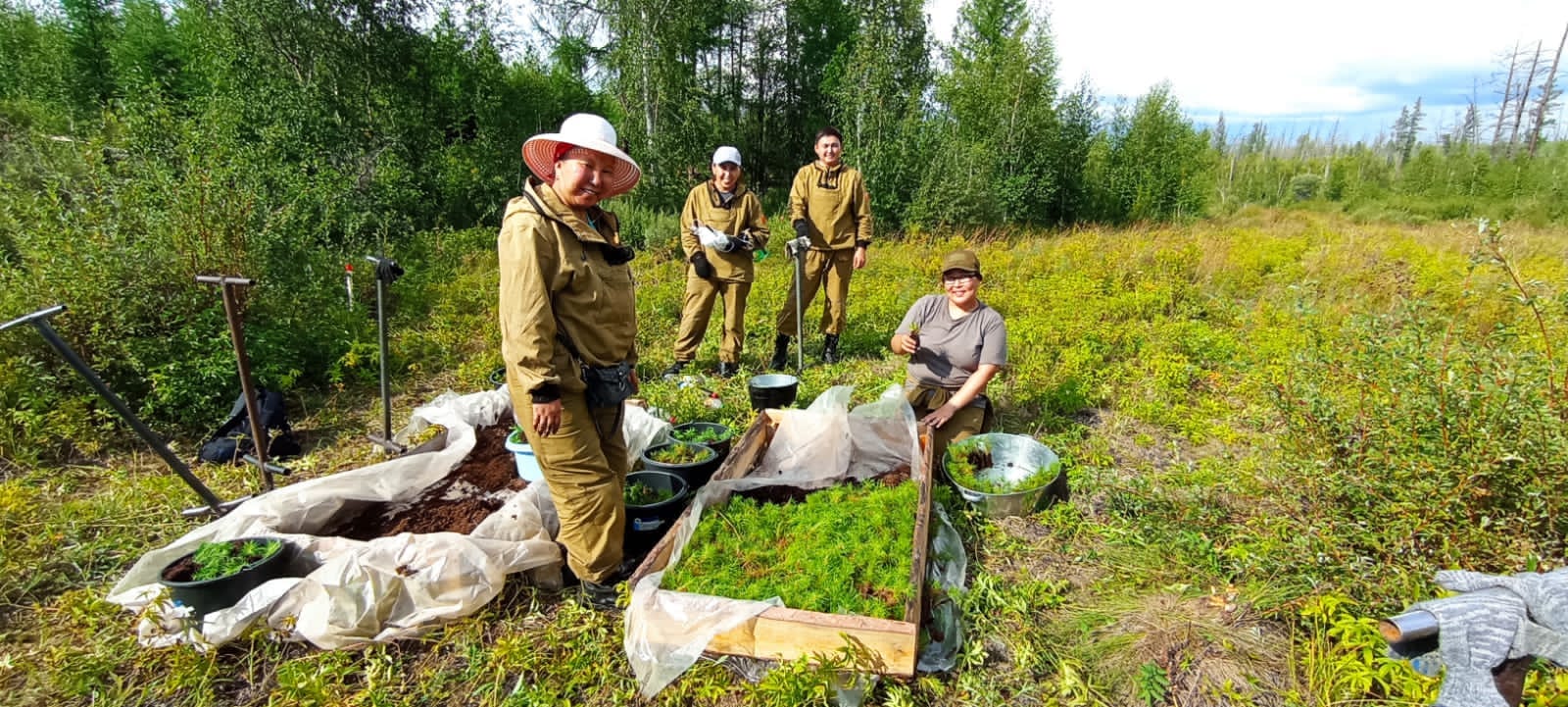 Три тысячи сеянцев сосны и лиственницы высадили в Горном районе Якутии