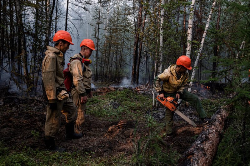 Лесной пожар на площади 11 880 га локализовали в Якутии за сутки