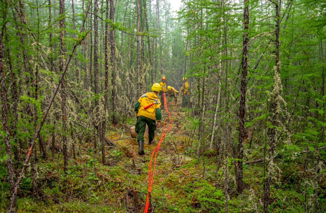 Лесной пожар площадью 12 тысяч га локализовали в Усть-Майском районе Якутии