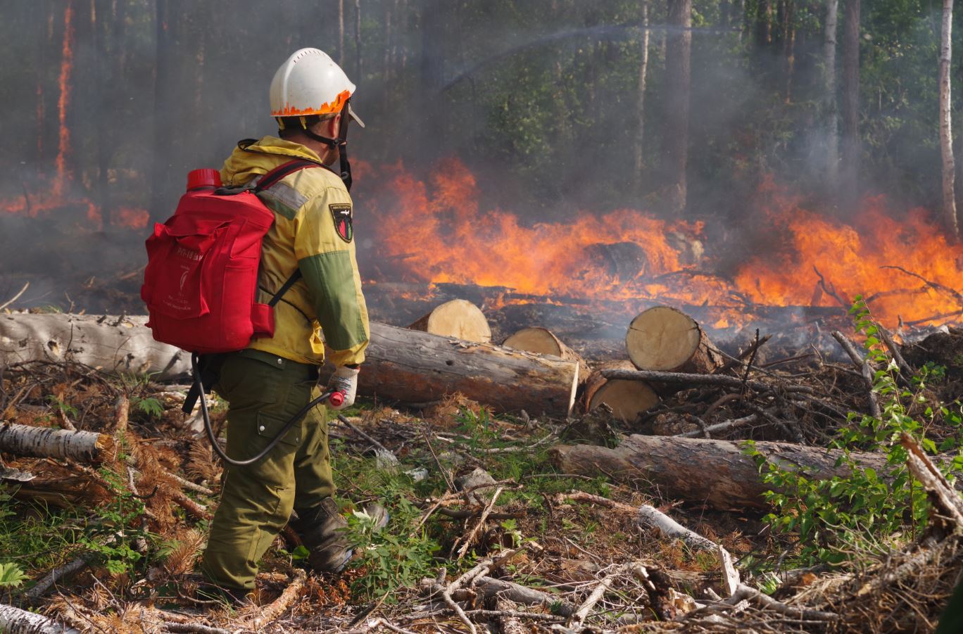 Крупный пожар общей площадью 55 тыс га локализовали в Усть-Майском районе Якутии