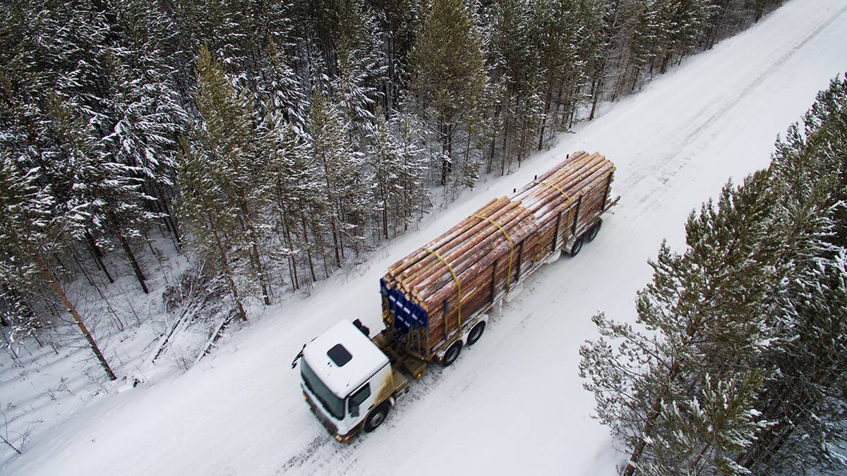 Заготовка древесины в Якутии выросла на 5,1% в первую половину 2022 года