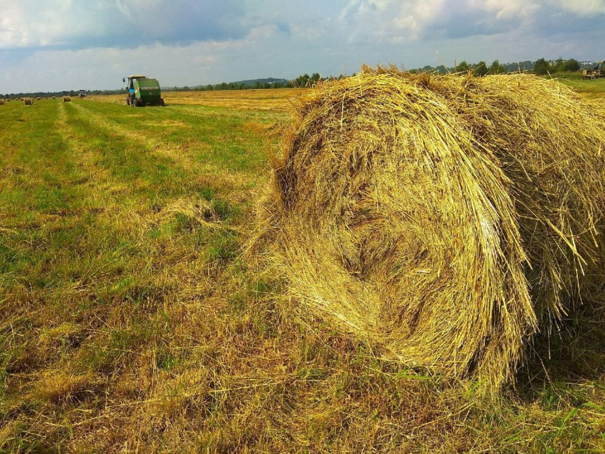 Около 80 млн рублей направят мобильным бригадам по заготовке сена в Якутии