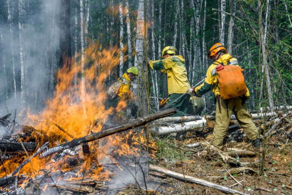 90 человек прибудут на тушение лесных пожаров в Якутии