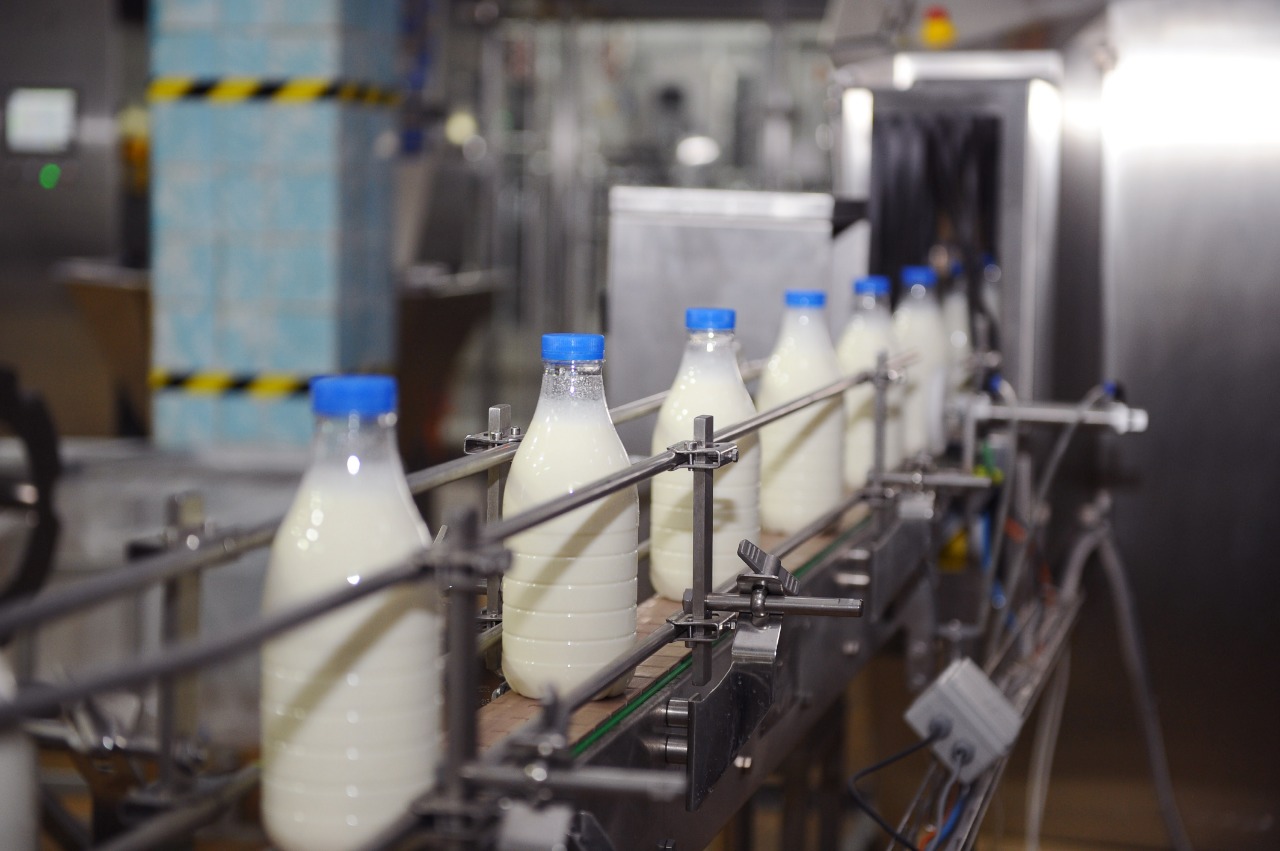 34 тыс тонн молока заготовили в Якутии