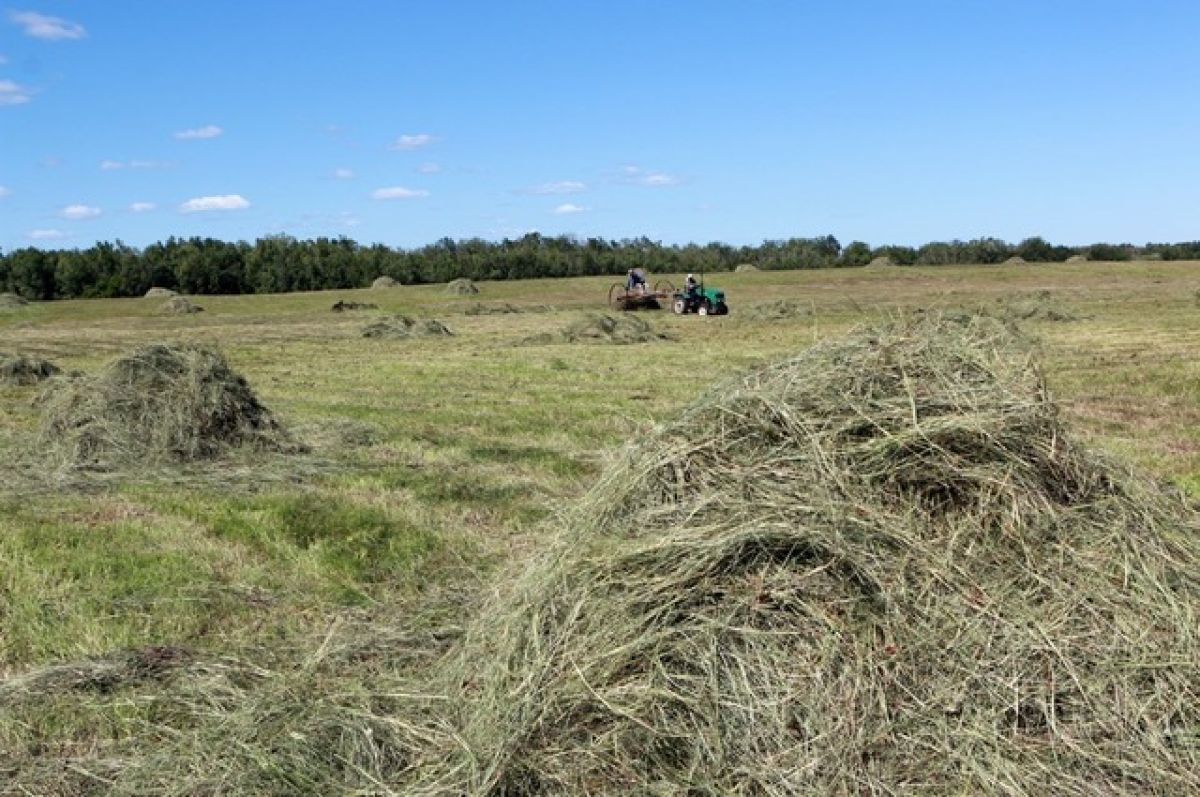 Мобильные бригады из Чурапчинского района Якутии заготовили более 10,3 тонн сена