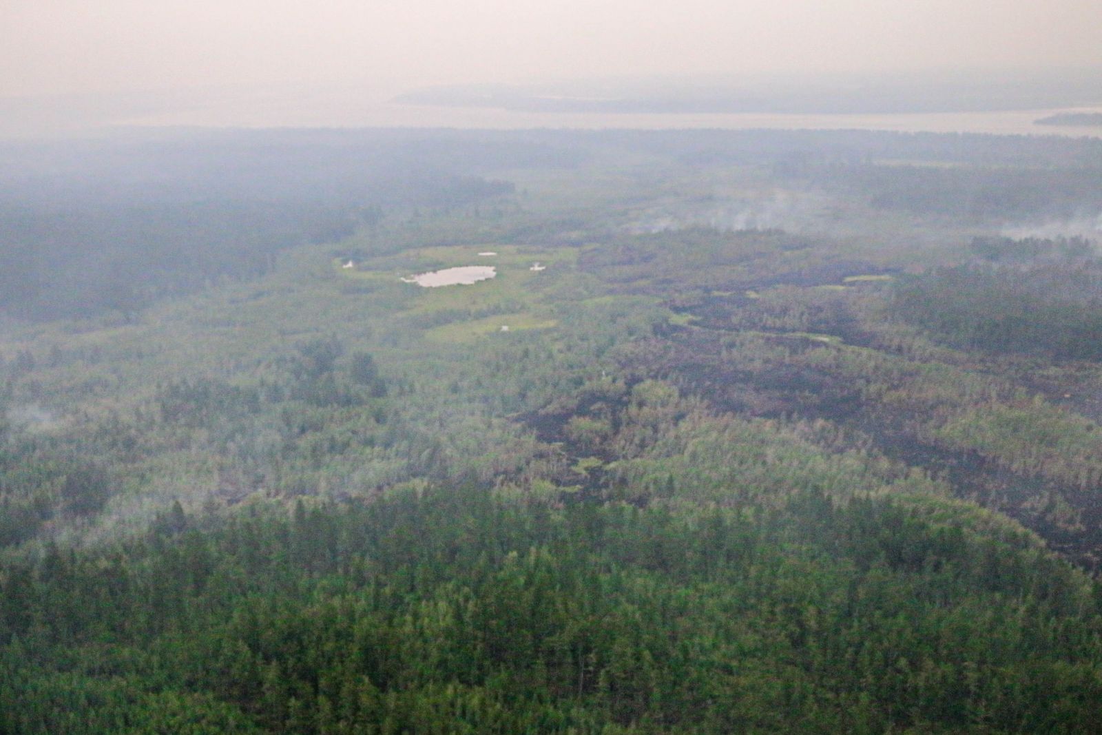 Лесные пожары площадью свыше 51,9 тыс гектаров потушили в Якутии за сутки
