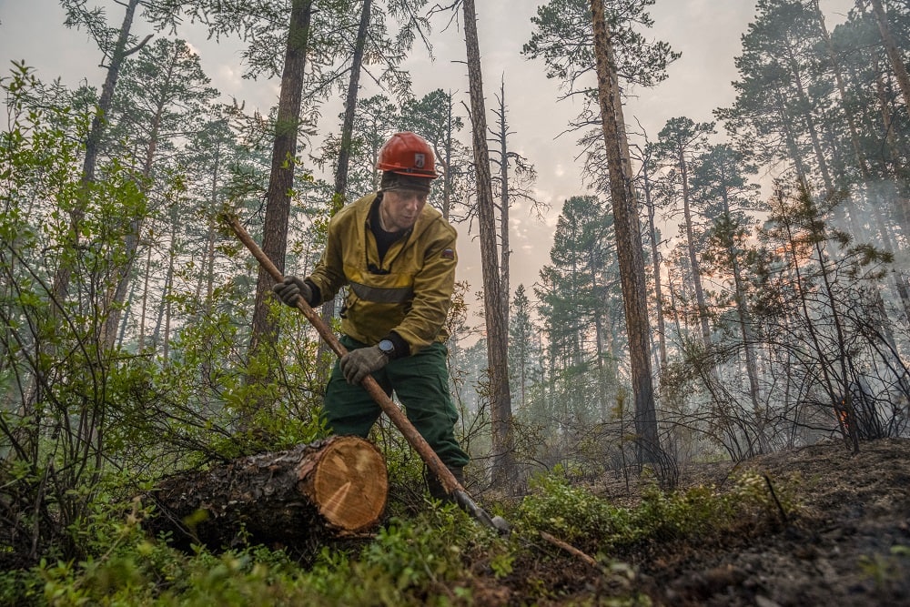 Порядка 600 человек тушат лесные пожары в Якутии