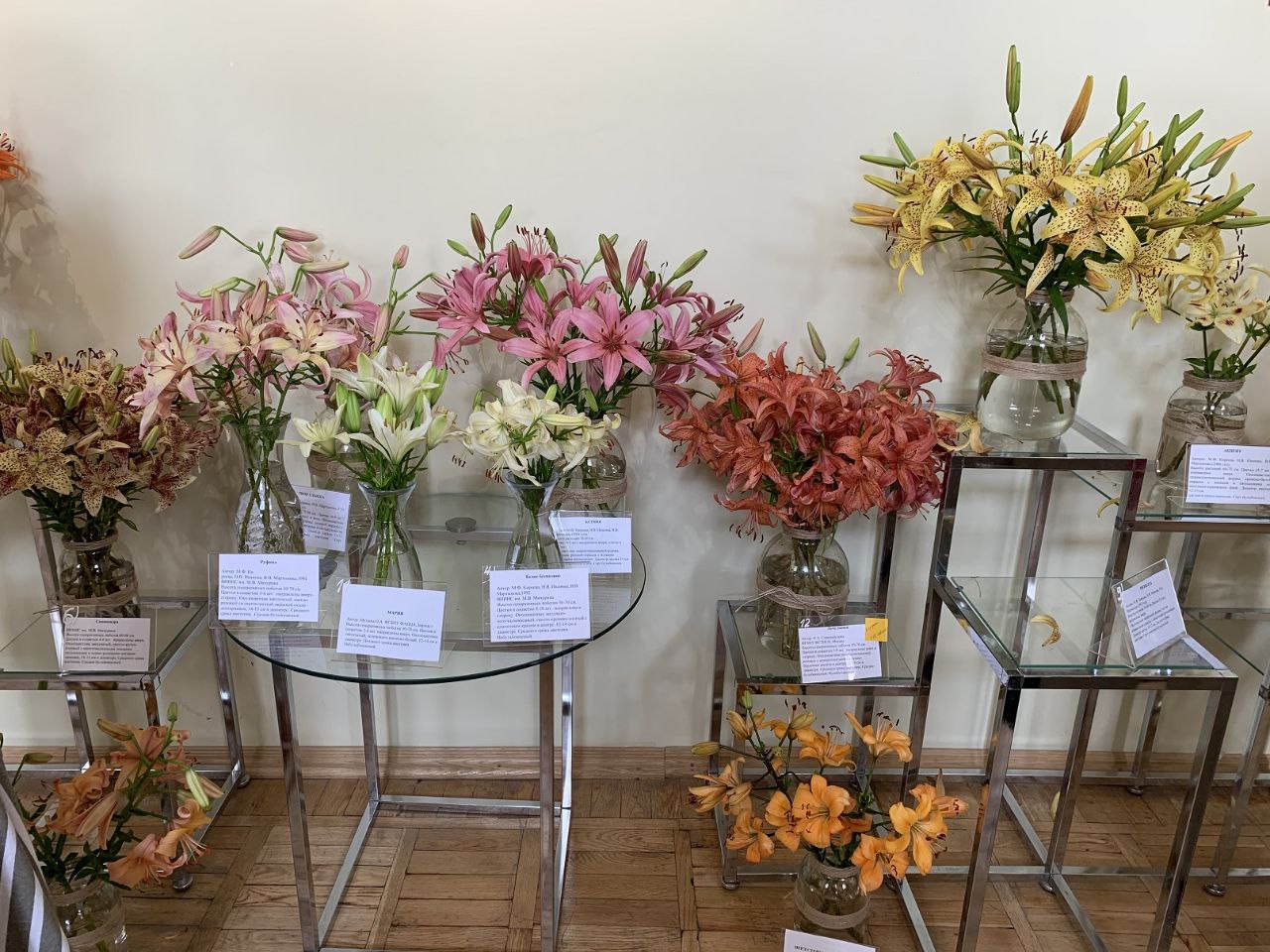 35 сортов азиатских лилий представили на цветочном фестивале в Якутске