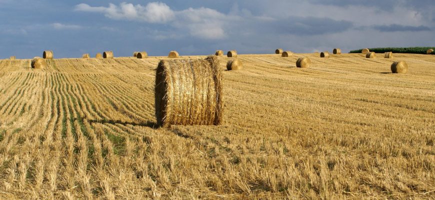 Почти шесть тысяч тонн сена заготовили в Горном районе Якутии