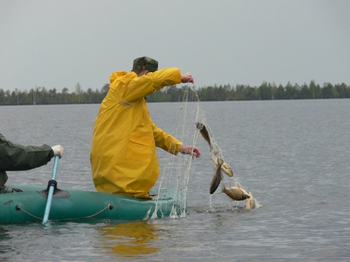 Месячный запрет на ловлю рыбу сетями начнется в Якутии с 20 сентября