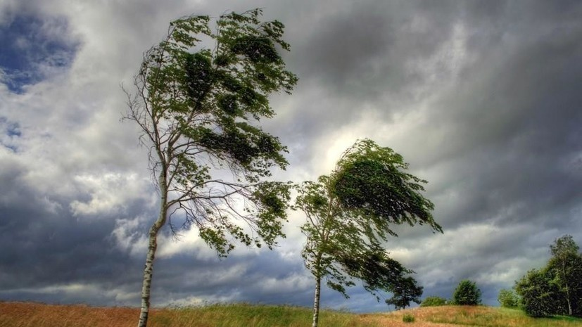 Усиление ветра прогнозируют в Алданском и Нерюнгринском районах 26 сентября